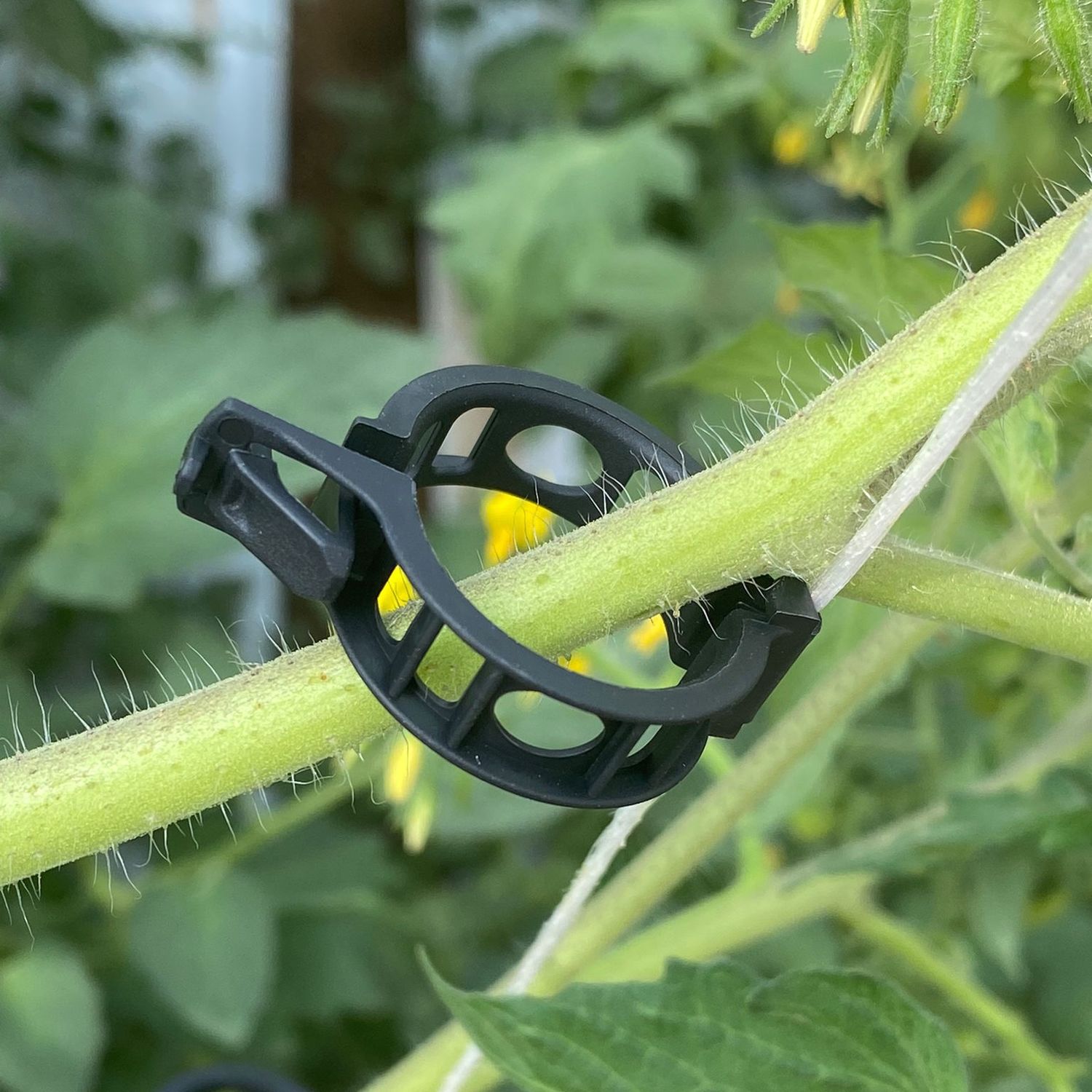 Clip Per Piante Rampicanti – 300 Pezzi Trasparenti, Supporto Per Orto E Giardino, Riutilizzabili - 3