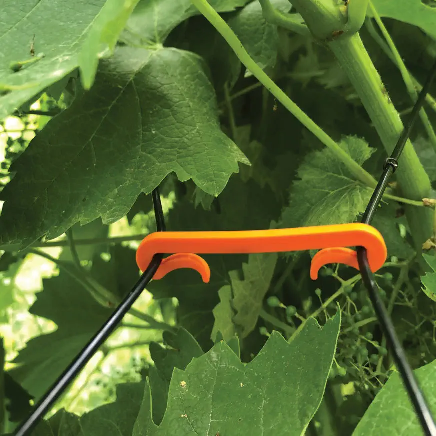 Cabilock 100pezzi Clip di Plastica per Piante Riutilizzabili di Supporto per Piante per Sostenere La Vite Rampicante Impermeabili e Resistenti