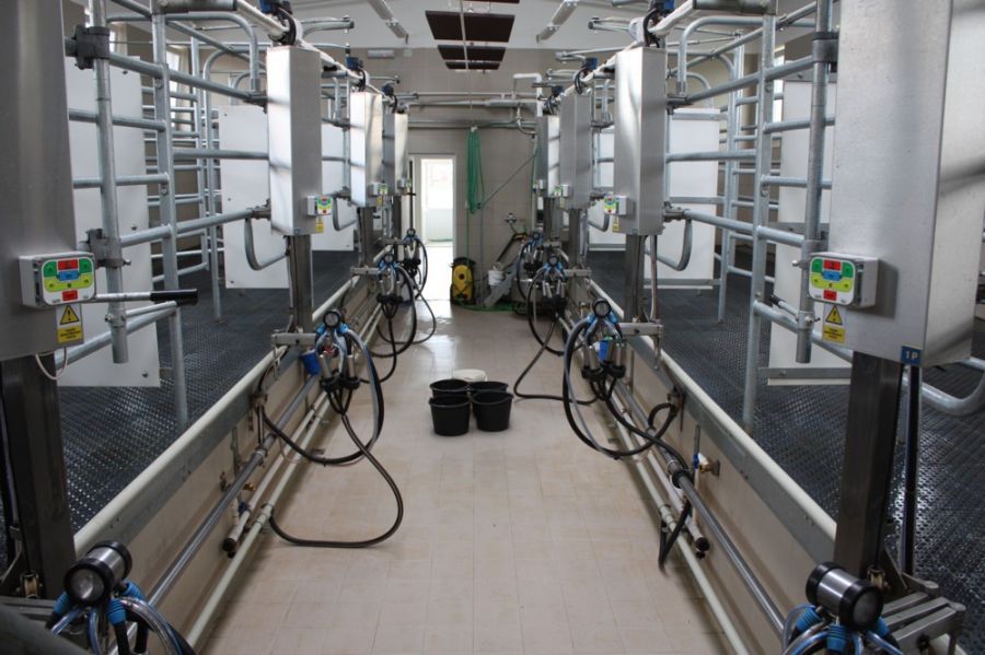 Sala di mungitura per mucche FARMTEC a.s. in tandem