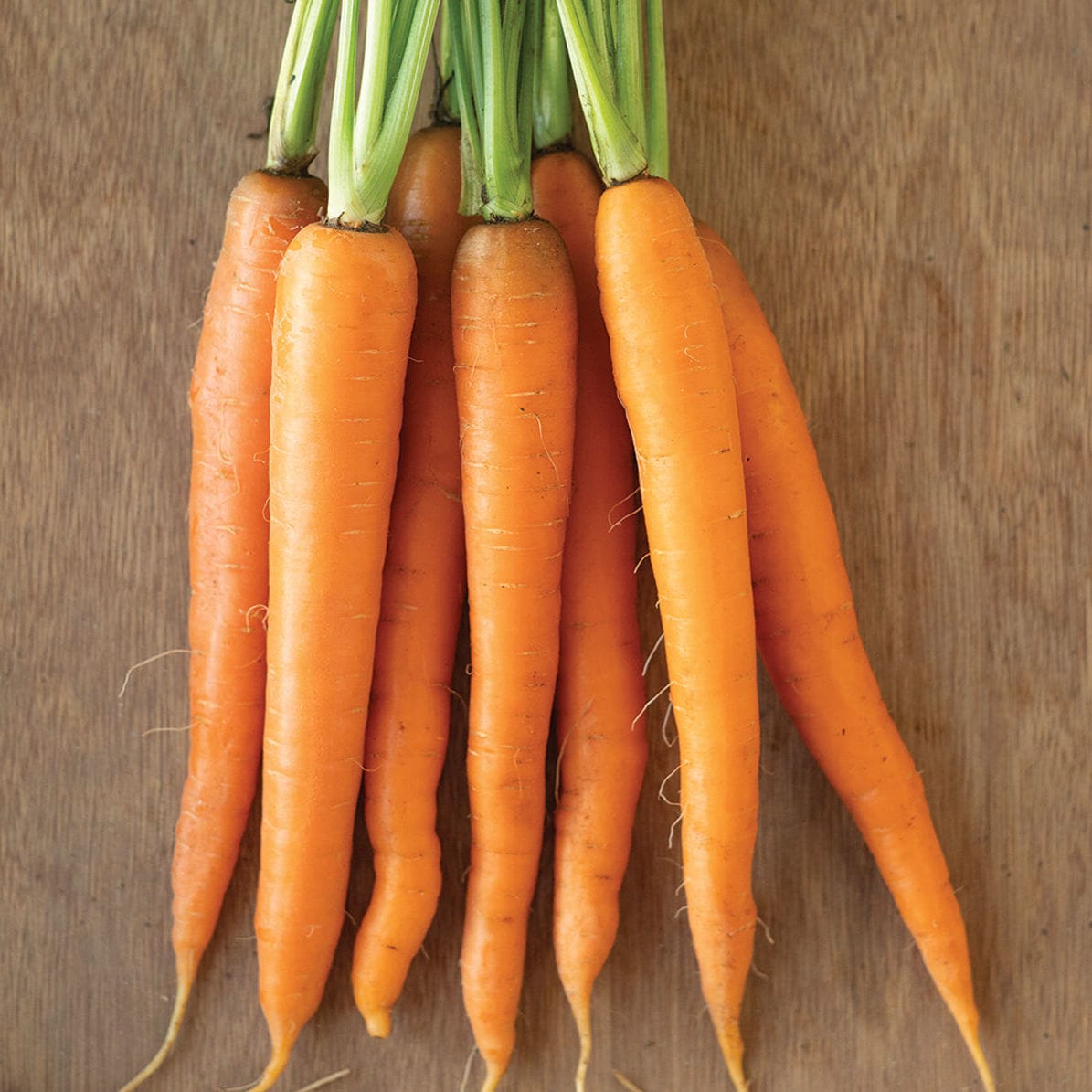 Sementi Di Carota Ibrida - Snow Man F1 - Nunhems - Foto 8