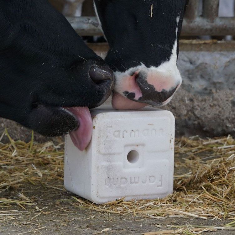 Blocco da leccare per bovini farmann per caprini / per ovini / di sale