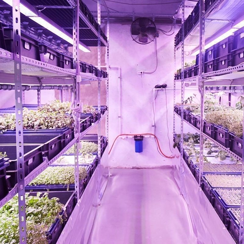 Luce A Spettro Completo Per La Cresca Delle Piante Alimentata Da USB - Foto 11