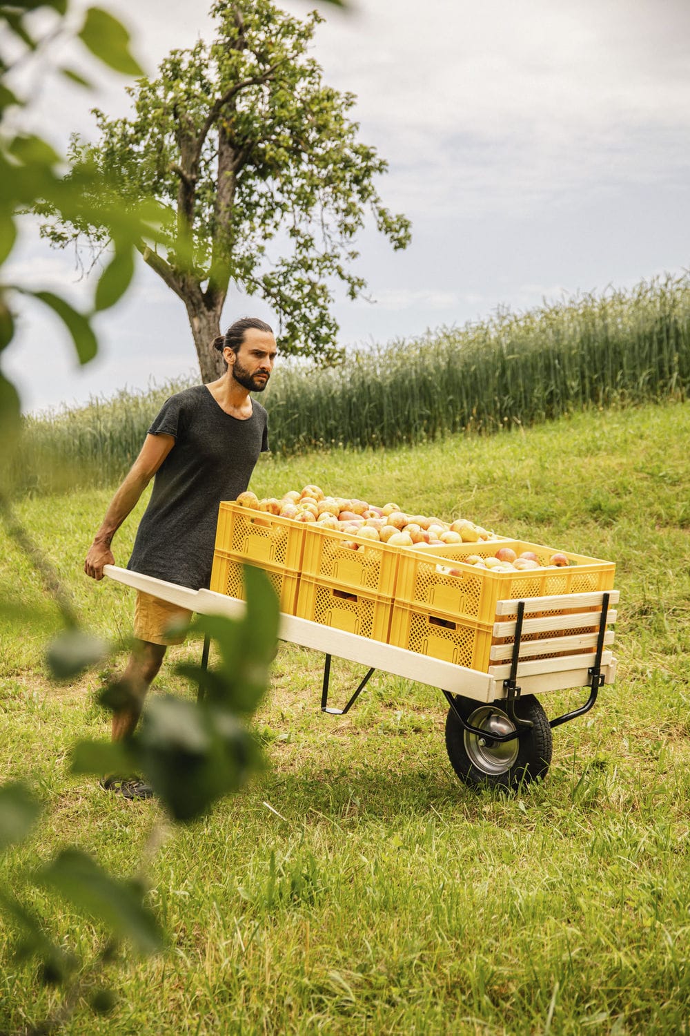 Un'artigiana Che Porta Una Cassetta Degli Attrezzi E Cammina In Un Giardino Immagine Stock - Foto 7