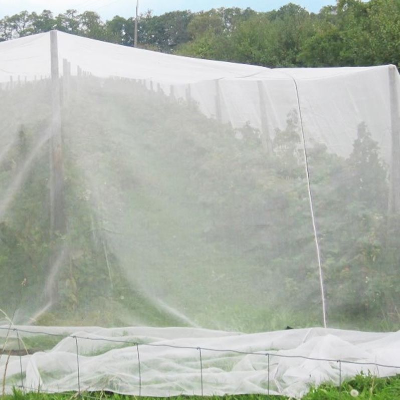 Rete Anti Insetti 6m×2.4m In Poliestere A Maglia Fine – Resistente E Traspirante Con 100 Fascette Per Orto, Giardino E Balcone