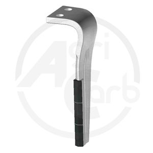 dente rigido