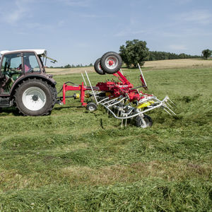 spandifieno trainato