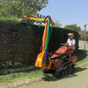 tagliasiepi idraulico 1