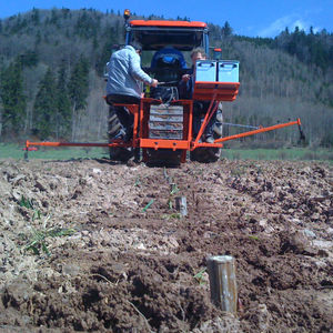 trapiantatrice per salici