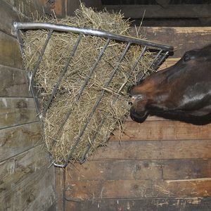 rastrelliera per cavalli