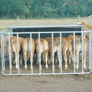 rastrelliera per bovini