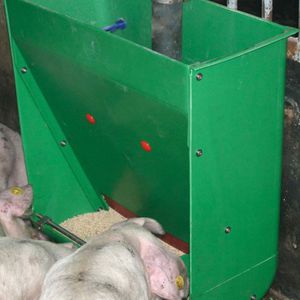 tramoggia di alimentazione per suini 1