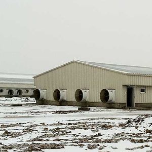 ventilatore per capannone agricolo