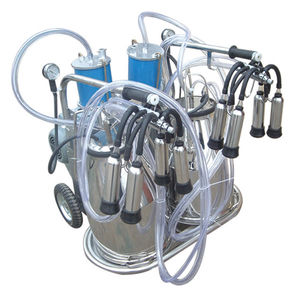 Mungitrice Per Mucche, 2 Posti, 2 Bidoni Acciaio Inox 30 Litri