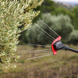 scuotitore elettrico per olive