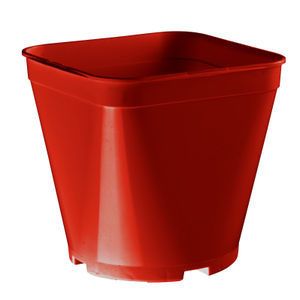 vaso in plastica 1