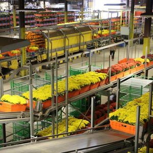 sistema di movimentazione orticola automatico 1
