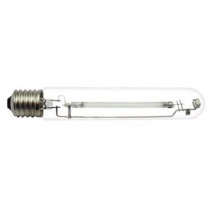 lampadina per lampada