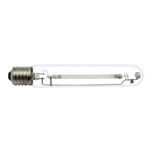 lampadina HID