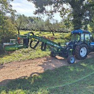 scuotitore per alberi per olive