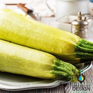 semi di zucca precoci