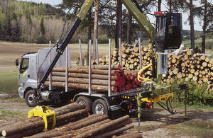 gru forestale montata su camion