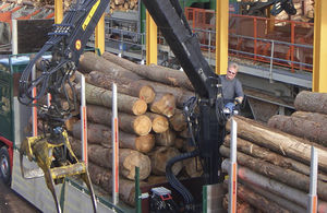 gru forestale montata su camion 1
