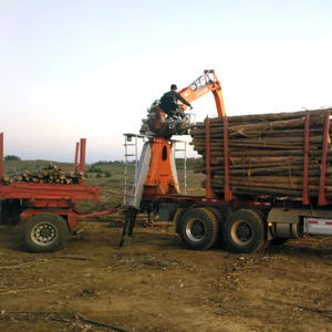 gru forestale montata su camion 1