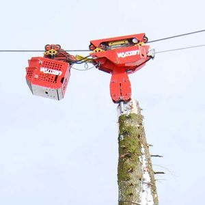 carrello-paranco forestale