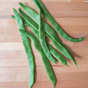 semi di fava precoci