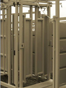 porta di contenimento per bovini 1