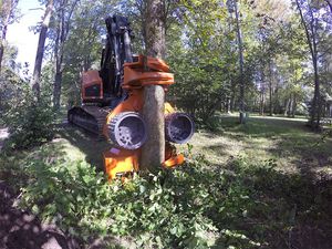 abbattitrice forestale cingolata 1
