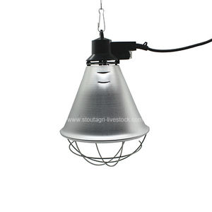 lampadina riscaldante per suinetti