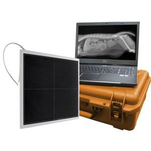 rilevatori a pannello piatto per radiografia veterinaria