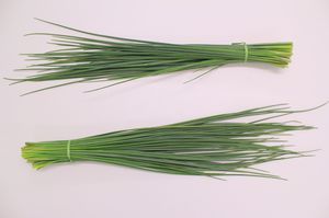 semi di erba cipollina