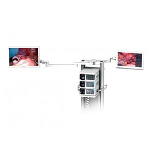 endoscopio veterinario flessibile