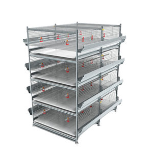 sistemi di allevamento per pollastre convertibile 1