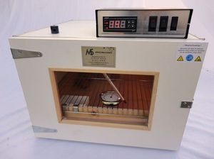 incubatrice per uova di gallina