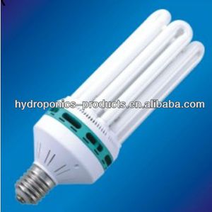 lampadina per lampada