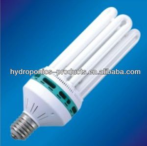 lampadina per lampada