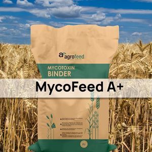 additivo alimentare con rilevatore di micotossine 1