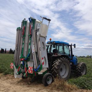 nastro trasportatore per raccolta per verdure