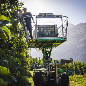 carrello raccolta per frutteto