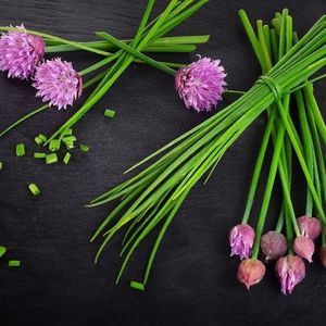 semi di erba cipollina biologici