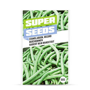 semi di fava verdi
