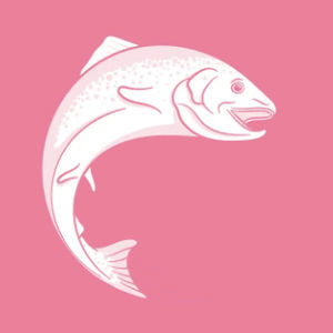 integratore alimentare per animali