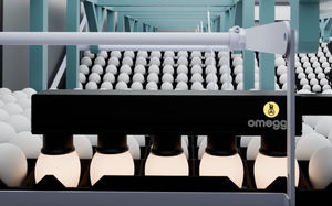 ovoscopio automatico