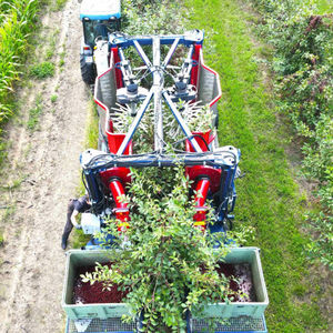 scuotitore per alberi per mandorle