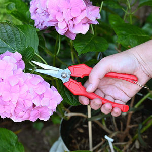 forbici da raccolta per fiori 1