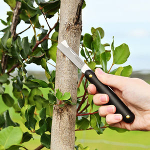 coltello di innesto 1