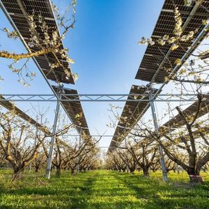 struttura agrivoltaica per frutteto